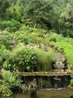Garden at Quinta Bolivar